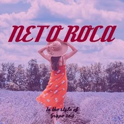 Cover art for Neto Roca - Grupo 360 karaoke version