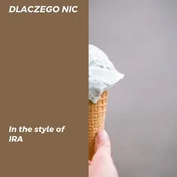 Cover art for Dlaczego nic - IRA (POL) karaoke version