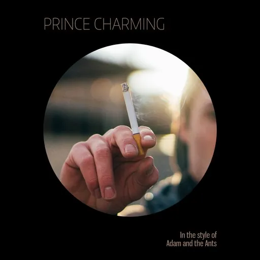 Prince Charming - Karaoke