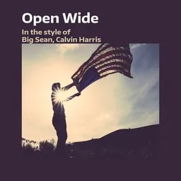 Cover art for Open Wide - Big Sean,Calvin Harris karaoke version