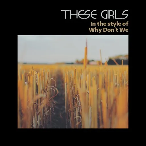 Karaoke These Girls by Why Don't We — sing along with lyrics on Singa