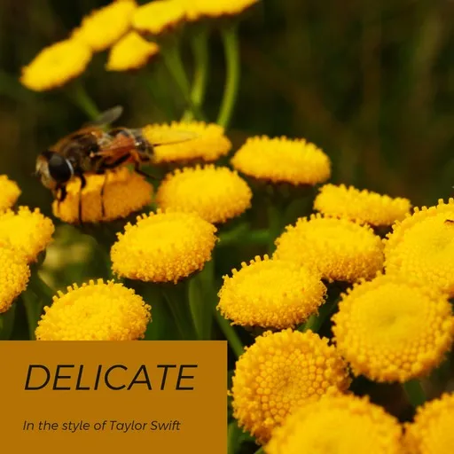 Karaoke Delicate by Taylor Swift — sing along with lyrics on Singa