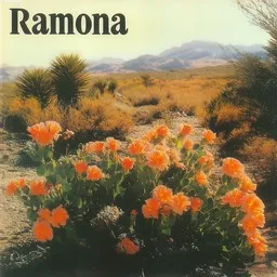 Cover art for Ramona - Tuomari Nurmio karaoke version