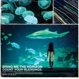 Omslagsbild för Pray For Plagues - Bring Me the Horizon karaokeversion