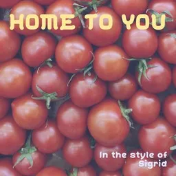 Omslagsbild för Home To You - Sigrid karaokeversion