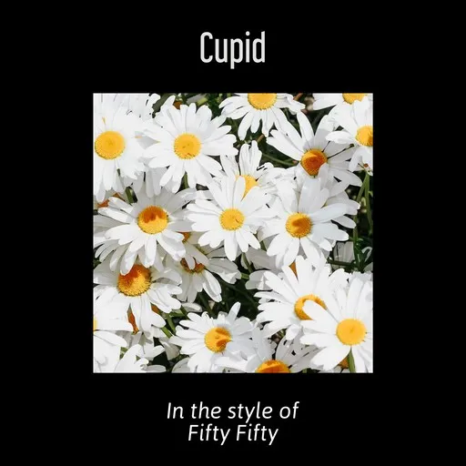 Cupid - Karaoke