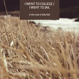 Cover art for I Went To College / I Went To Jail - Jelly Roll karaoke version