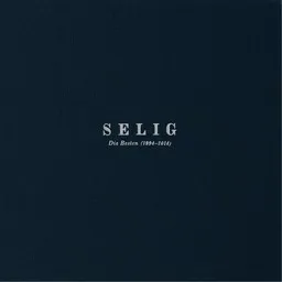 Cover art for Von Ewigkeit zu Ewigkeit - Selig karaoke version