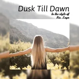 Cover art for Dusk Till Dawn - Sia,Zayn karaoke version