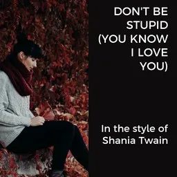 Cover art for Don't Be Stupid (You Know I Love You) - Shania Twain karaoke version