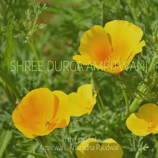 Shree Durga Amritwani - Karaoke