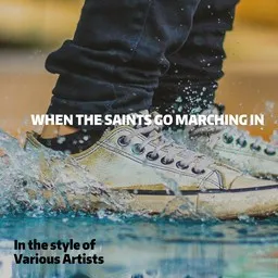 Cover art for When The Saints Go Marching In - Various Artists karaoke version