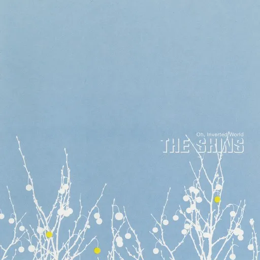 Karaoke Caring Is Creepy by The Shins — sing along with lyrics on Singa