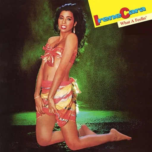 Flashdance... What a Feeling - Karaoke