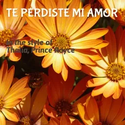 Cover art for Te Perdiste Mi Amor - Prince Royce,Thalía karaoke version