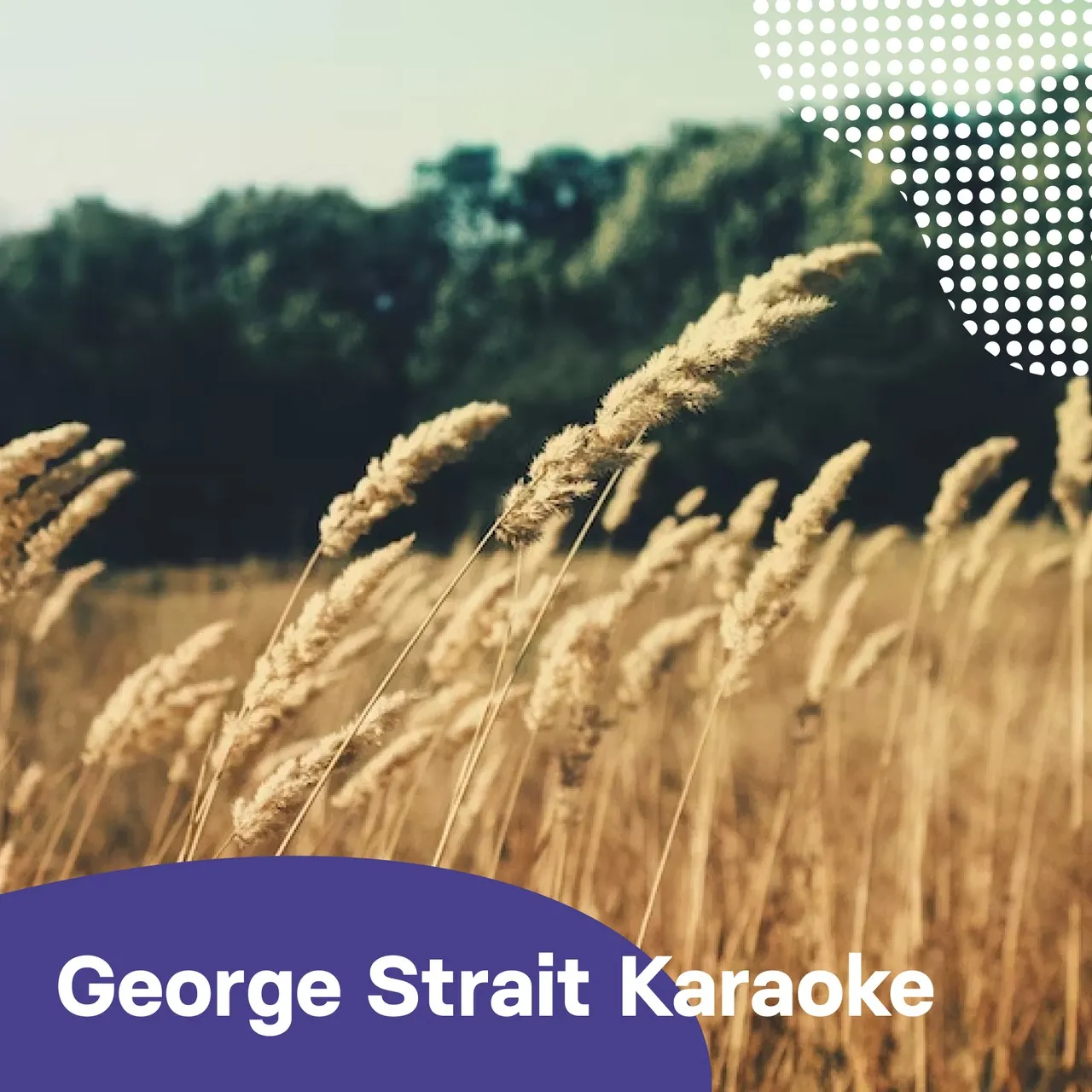 George Strait Karaoke - Karaoke