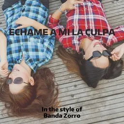 Cover art for Echame A Mi La Culpa - Banda Zorro karaoke version