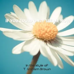 Cover art for If You Could Only See Me Now - T. Graham Brown karaoke version