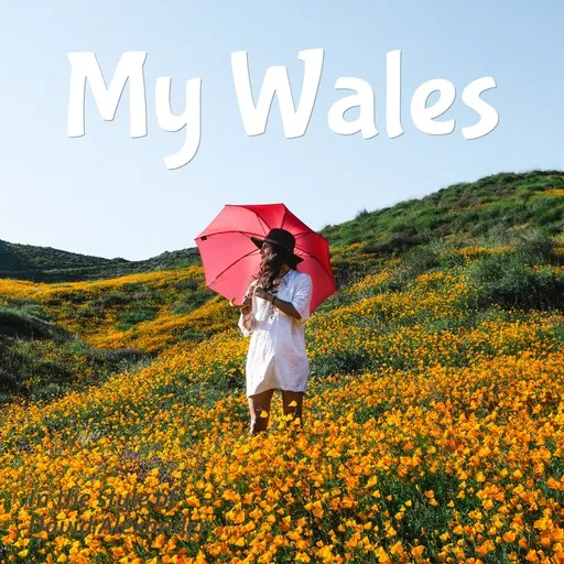 Karaoke My Wales by David Alexander — sing along with lyrics on Singa