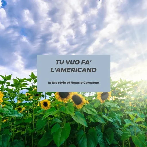 Tu Vuo Fa' L'Americano - Karaoke