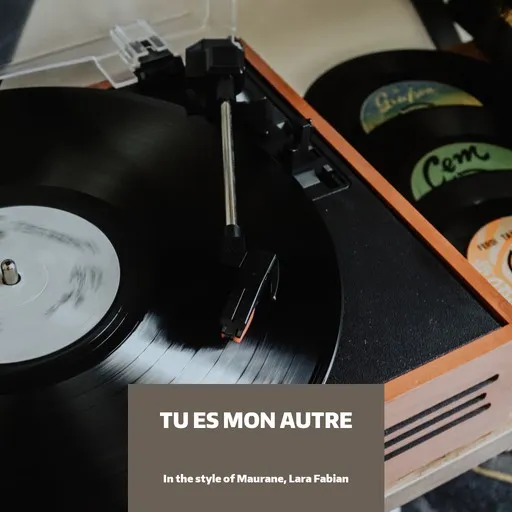 Karaoke Tu Es Mon Autre av Lara Fabian, Maurane — sjung med på texten på Singa