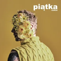 Cover art for Ptaki - LemON karaoke version