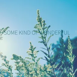 Cover art for Some Kind Of Wonderful - Joss Stone karaoke version