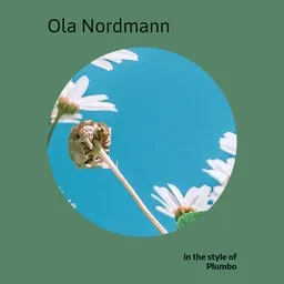 Titelbild für Ola Nordmann - Plumbo Karaoke-Version