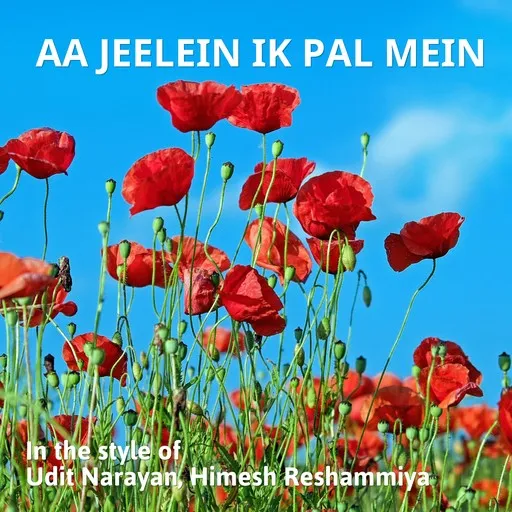Karaoke Aa Jeelein Ik Pal Mein by Himesh Reshammiya, Udit Narayan — sing along with lyrics on Singa