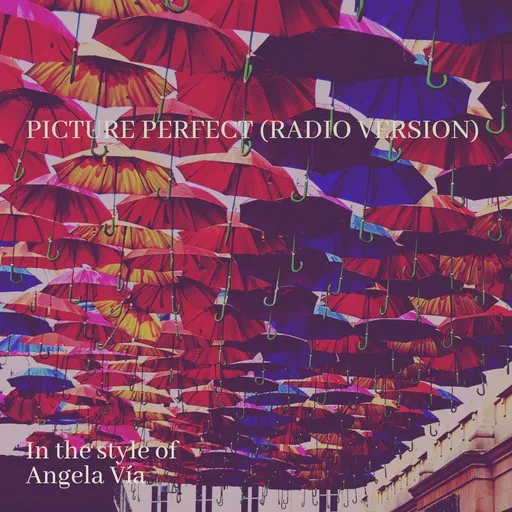 Picture Perfect (Radio Version) - Karaoke