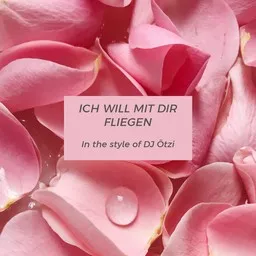 Cover art for Ich will mit dir fliegen - DJ Ötzi karaoke version