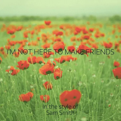 Karaoke I’m Not Here to Make Friends av Sam Smith — sjung med på texten på Singa