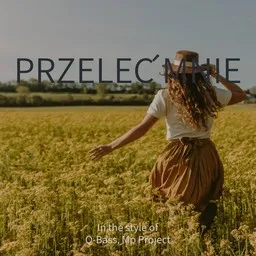 Cover art for Przeleć mnie - Mp Project,Q-Bass karaoke version