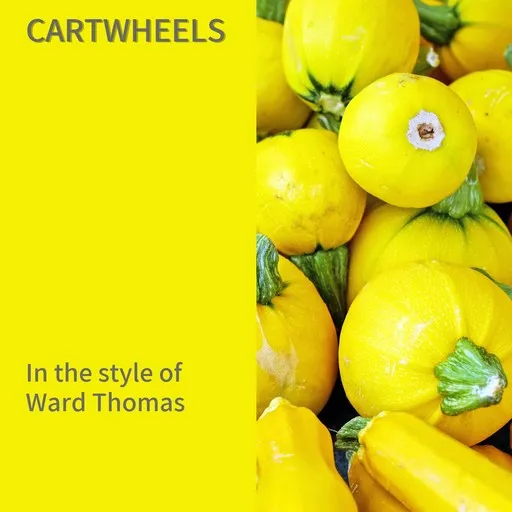 Karaoke Cartwheels by Ward Thomas — sing along with lyrics on Singa