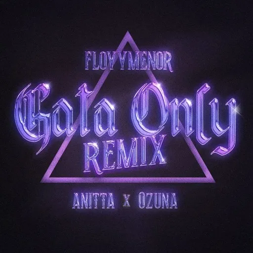 Gata Only (Remix) - Karaoke