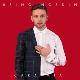 Cover art for Oot ansainnu kaiken - Reino Nordin karaoke version