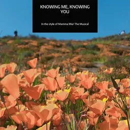 Cover art for Knowing Me, Knowing You - Mamma Mia! The Musical karaoke version