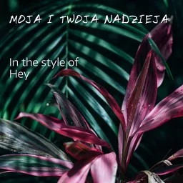 Cover art for Moja i Twoja nadzieja - Hey karaoke version