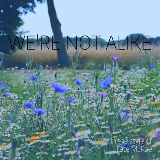 Karaoke We're Not Alike esittäjältä Tate McRae — laula mukana sanoituksilla Singassa