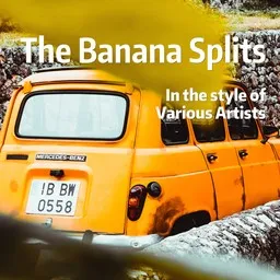 Cover art for The Banana Splits - Various Artists karaoke version