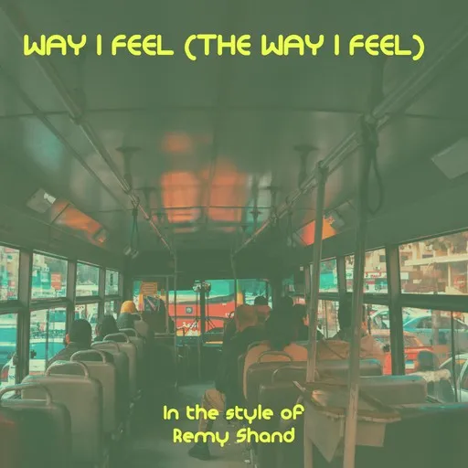 Way I Feel (The Way I Feel) - Karaoke