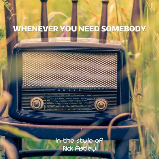 Whenever You Need Somebody - Karaoke