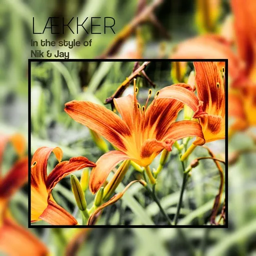 Karaoke Lækker by Nik & Jay — sing along with lyrics on Singa