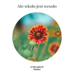 Titelbild für Ale wkoło jest wesoło - Perfect Karaoke-Version