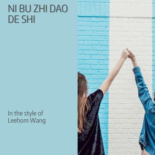 Ni Bu Zhi Dao De Shi - Karaoke