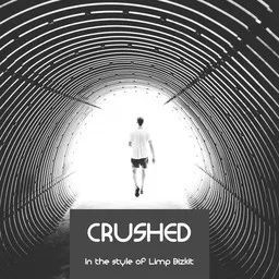 Cover art for Crushed - Limp Bizkit karaoke version