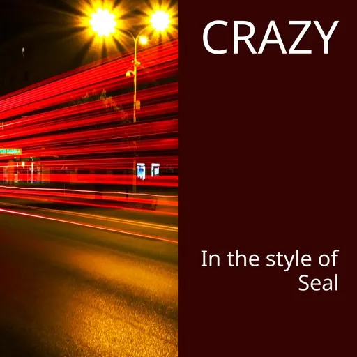Karaoke Crazy by Seal — sing along with lyrics on Singa