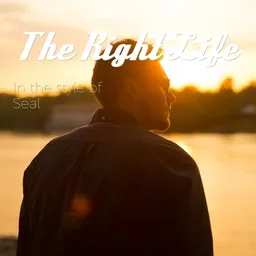 Cover art for The Right Life - Seal karaoke version