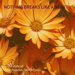Cover art for Nothing Breaks Like A Heart - Mark Ronson,Miley Cyrus karaoke version