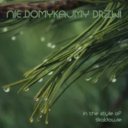 Titelbild für Nie domykajmy drzwi - Skaldowie Karaoke-Version
